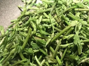 3 Sayuran Termahal di Dunia yang Bikin Kantong Jebol, Harga Sekilo Rp 16,2 Juta!