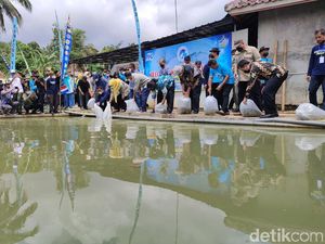 Ciamis Punya Kampung yang Warganya Kompak Budidaya Ikan