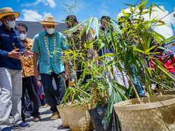 Contoh Kerajinan dari Bambu Simpel dan Cara Pembuatannya