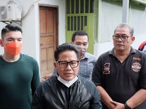 Ketum PKB Minta Regulasi Ekspor Burung Disempurnakan Ketum PKB Minta Regulasi Ekspor Burung Disempurnakan