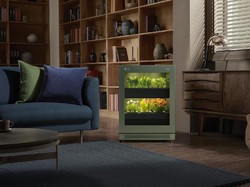 LG Tiiun Mudahkan Berkebun, Bahkan di Ruang Keluarga