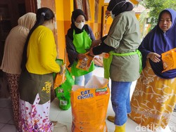 Bantuan Pakan Mengalir untuk Kucing di Lokasi Terdampak Erupsi Semeru