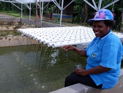 Cara Pertamina EP Papua Berdayakan Pensiunan di Kampung Klamono Olie