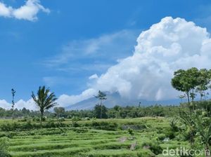 Kondisi Semeru Hari Ini Lebih Tenang, Visual Terlihat Jelas