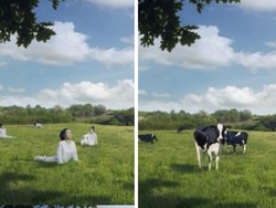 Netizen Marah! Iklan Susu Korea Selatan, Wanita Berubah jadi Sapi