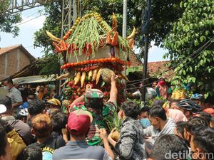 Begini Keseruan Warga Kudus Berebut Belasan Gunungan Durian Begini Keseruan Warga Kudus Berebut Belasan Gunungan Durian