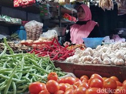 Kabar Baik Buibu! Harga Tomat di Denpasar Hari Ini Turun