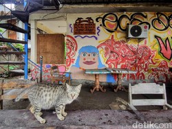 Tak Ada Turis, Gili Meno Menangis