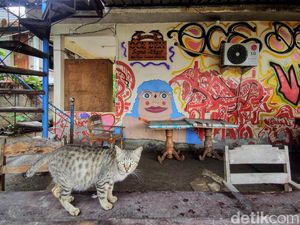 Potret Miris, Gili Meno yang Menangis karena Tak Ada Turis Potret Miris, Gili Meno yang Menangis karena Tak Ada Turis