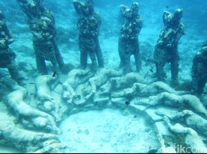 Nest, Sarang Manusia di Laut Gili Meno