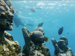 7 Spot Snorkeling Terbaik di Lombok, dari Gili Trawangan hingga Pantai Pink