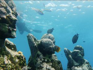 7 Spot Snorkeling Terbaik di Lombok, dari Gili Trawangan hingga Pantai Pink 7 Spot Snorkeling Terbaik di Lombok, dari Gili Trawangan hingga Pantai Pink
