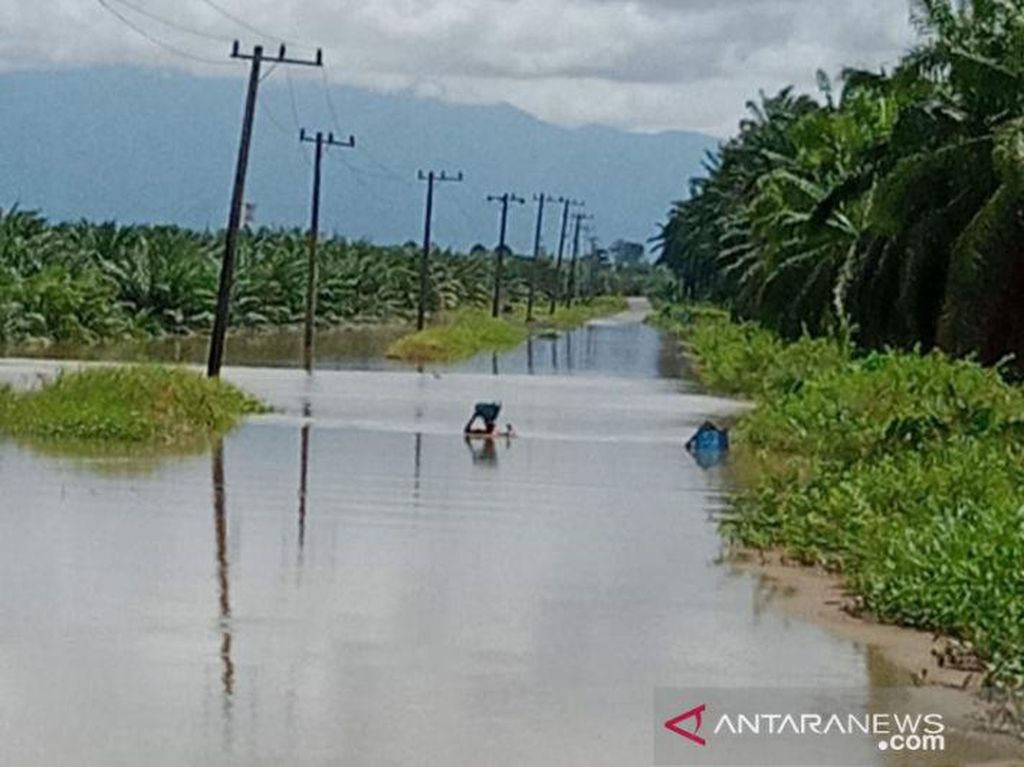 Banjir Rendam Agam Sumbar, 4.000 Warga Terisolir Banjir Rendam Agam Sumbar, 4.000 Warga Terisolir