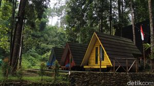 Rekomendasi Lokasi Camping di Bogor: Bumi Perkemahan Citamiang