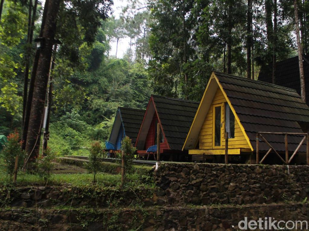 Bumi Perkemahan Citamiang, Spot Adem dan Asyik Buat Kemping di Bogor Bumi Perkemahan Citamiang, Spot Adem dan Asyik Buat Kemping di Bogor