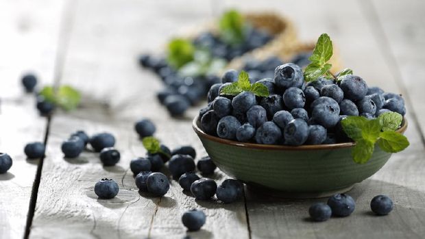 Ilustrasi blueberry