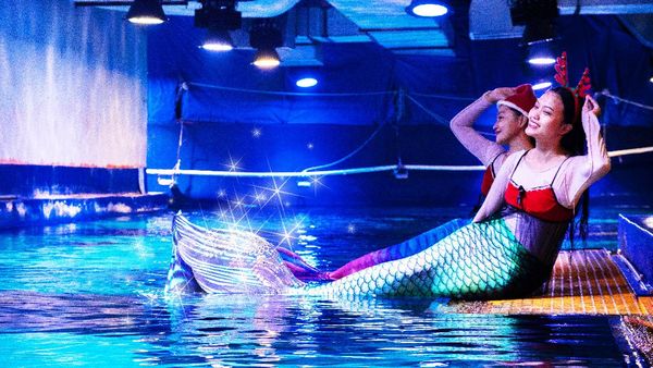 Potret Duyung, Santa Klaus dan Natal Bawah Laut