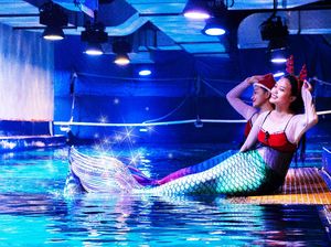 Potret Duyung, Santa Klaus dan Natal Bawah Laut Potret Duyung, Santa Klaus dan Natal Bawah Laut