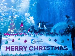 Natalan di Jakarta? Bisa Rayakan Bareng Duyung dan Santa Klaus di Bawah Air