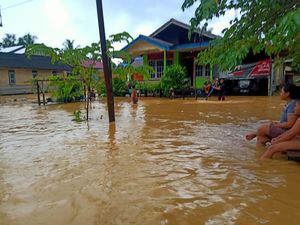 Sorotan Muncul Usai Lokasi Ibu Kota Baru Kebanjiran