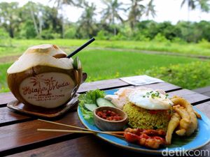 Menikmati Nasi Goreng Kelapa Muda di Pinggir Sawah, Bisa! Menikmati Nasi Goreng Kelapa Muda di Pinggir Sawah, Bisa!