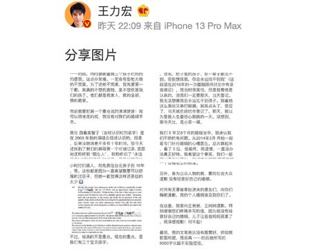 Wang Leehom membantah tudingan perselingkuhan dan prostitusi dari sang mantan istri, Lee Jinglei.