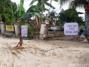 Tanam Pisang Warga Protes Jalan Rusak di Pekanbaru