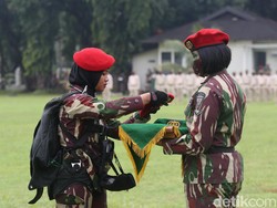 Rekrutmen Bintara PK TNI AD Wanita 2026 Dibuka, Catat Syaratnya!