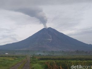 Semeru Pagi Ini, Asap Kawah Setinggi 1.000 Meter