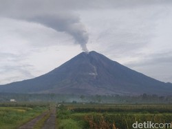 Semeru Pagi Ini, Asap Kawah Setinggi 1.000 Meter