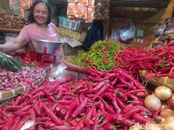 Mengendalikan Lonjakan Harga Pangan