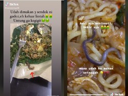 Iyuh! 5 Orang Ini Temukan Cacing hingga Lintah di dalam Makanan