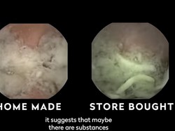 Beda Proses Cerna Mie Instan vs Mie Rumahan hingga Manfaat Makan Pete