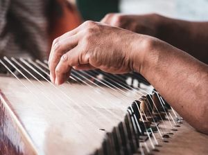 9 Contoh Alat Musik Petik Modern dan Tradisional di Indonesia 9 Contoh Alat Musik Petik Modern dan Tradisional di Indonesia