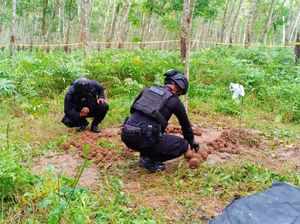 Lokasi Temuan 206 Granat Tangan Aktif di Banyuwangi Bekas Basecamp Belanda