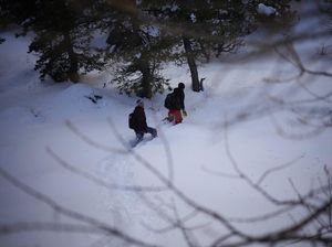 Hilang Berhari-hari, 3 Pendaki Ditemukan Tewas di Pegunungan Alpen