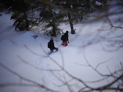 Hilang Berhari-hari, 3 Pendaki Ditemukan Tewas di Pegunungan Alpen