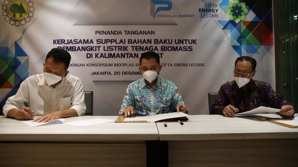 Pemanfaatan Hutan Produksi untuk Tanaman Kayu Energi