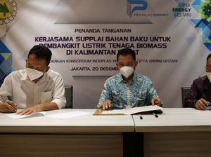 Pemanfaatan Hutan Produksi untuk Tanaman Kayu Energi Pemanfaatan Hutan Produksi untuk Tanaman Kayu Energi