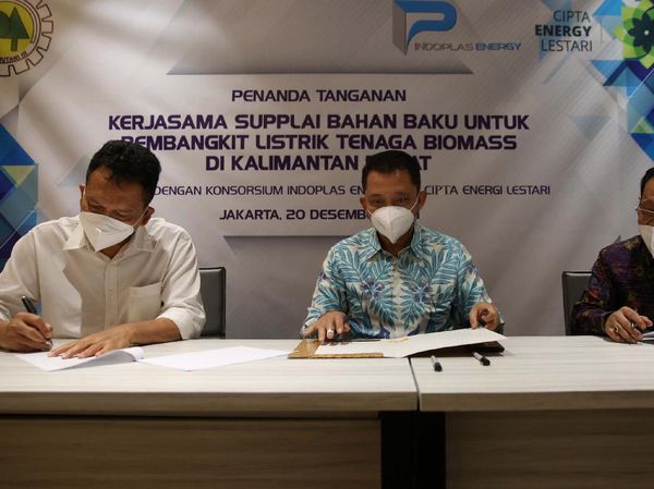 Pemanfaatan Hutan Produksi untuk Tanaman Kayu Energi