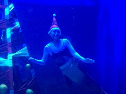 Intip Persiapan Santa Claus dan Mermaid Hias Pohon Natal Bawah Air