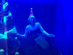 Intip Persiapan Santa Claus dan Mermaid Hias Pohon Natal Bawah Air Intip Persiapan Santa Claus dan Mermaid Hias Pohon Natal Bawah Air