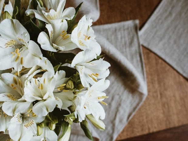 Pilihan bunga untuk hadiah hari ibu, bunga Lily simbolkan rasa hormat kepada ibu/Foto: pexels.com/Flora Westbrook