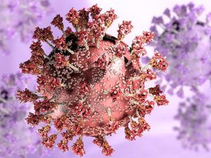 Harris County Texas Catat Kasus Kematian Pertama Akibat Varian Omicron