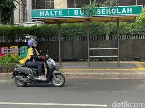 Waduh! Atap Halte Bus Ini Ditumbuhi Tanaman Liar