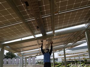 Komplek Parlemen Kini Juga Gunakan Panel Surya Komplek Parlemen Kini Juga Gunakan Panel Surya