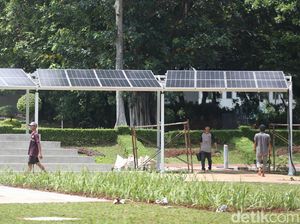 Bagaimana Pelaku Usaha Lokal Bantu Pemerintah Genjot Penggunaan EBT?