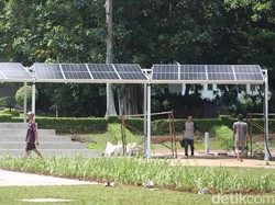 Bagaimana Pelaku Usaha Lokal Bantu Pemerintah Genjot Penggunaan EBT?