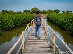 8 Wisata Alam Hits dan Murah di Tangerang, Yuk Healing Gratis