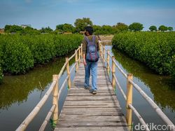 Memahami Abrasi: Pengertian, Penyebab, Dampak, dan Cara Mengatasinya